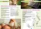 #26 Stader Schulblatt 2023 Leseprobe